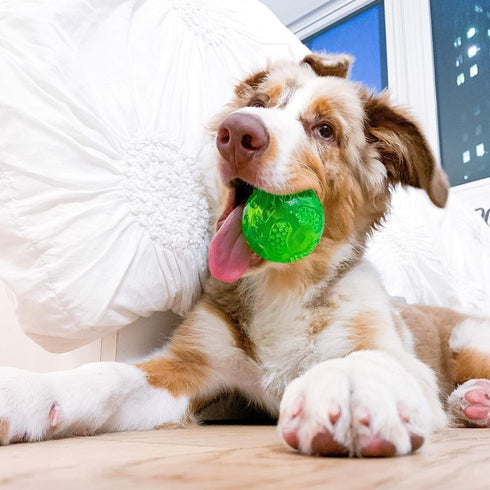 Hyper Pet DuraSqueak Dog Ball Toy, Interactive, Floats, Squeaks, Dog Balls for Fetching, Alternative to Traditional Dog Tennis Balls - for All Breeds