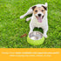 6 Inch Bully Sticks for Dogs (1 Pound Bag), 100% Natural Grass-Fed Free-Range Premium Beef Chews