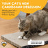 2 Pack Hide & Scratch Cat Scratcher Pad | Double-Sided Cardboard Refills for Our Scratching Box | Reversible Corrugated