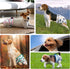 5pcs,Reusable Dog Diapers Female Dog Doggie Puppy Doggy Diapers Female, Period Panties in Heat, Lamb, XLarge