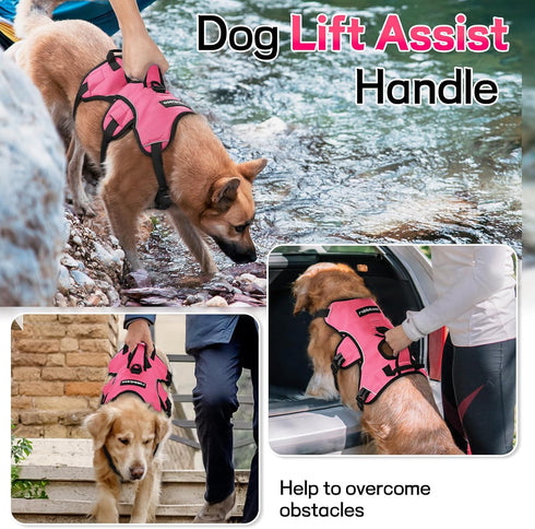 rabbitgoo Escape Proof Dog Harness, Soft Padded Full Body Vest, Reflective Adjustable No Pull for Large Dogs (XL, Pink)