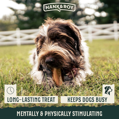 Hank & Roy All-Natural, Single-Ingredient Beef Marrow Bones for Dogs, Long Lasting, Engaging, High Collagen Bone Marrow