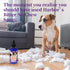 Harbor's Bitter No Chew Spray - 3X Strength Chewing Deterrent for Shoes, Bandages, Paws, and Furniture