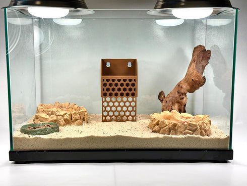 Lucky Critter Hermit Crab Climbing Wall Foraging Basket | Tank Enrichment Decor | Hermit Crab Habitat Decoration