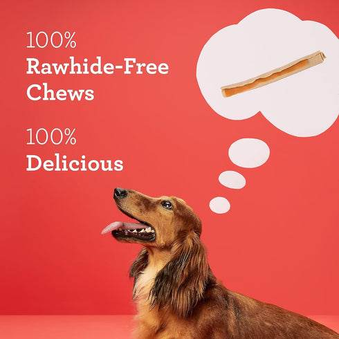 Dreambone DreamSticks Dog Chews, 10 Count (Pack of 1), Made with Real Sweet Potato