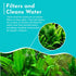 Live Plants for Fish Tank - Java Fern Mat with Coconut Coir, Microsorum Pteropus - Ideal Live Plants for Beta Fish Tank