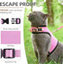 PUPTECK Soft Mesh Cat Vest Harness and Leash Set, Escape Proof Padded Pet Harness for Small Dogs, Pink Large