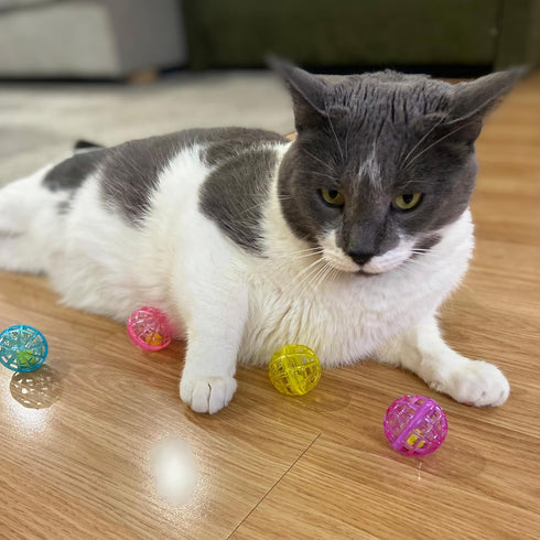 SPOT Ethical Products Lattice Balls Cat Toy, 3 Pack