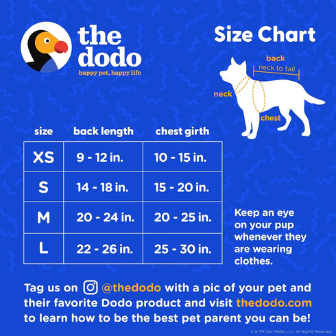 The Dodo Dog Bandana & Colorblock Tee Pet Apparel Set, Extra Small Size; Grey, Green & White Dog Tshirt, Matching Pet