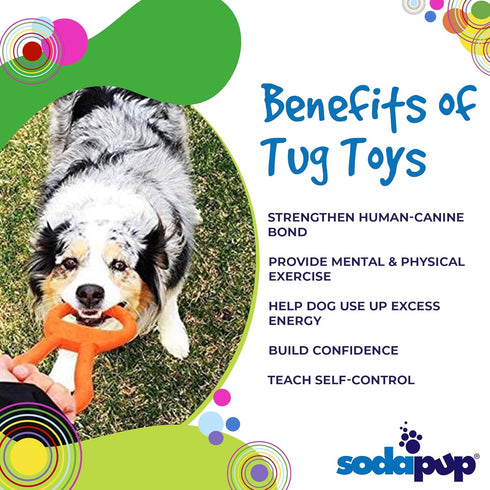 SodaPup Can Pull Tab - Durable Interactive Dog Tug Toy Made in USA from Non-Toxic Natural Rubber Material
