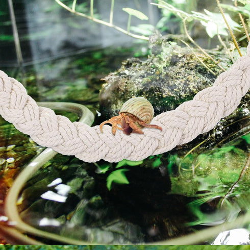 Aysatogc 2PCS 4 Hermit Crab Climbing Toys Hermit Crab Accessories Climbing Rope with Hooks Hermit Crabs Habitat Decor