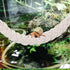 Aysatogc 2PCS 4 Hermit Crab Climbing Toys Hermit Crab Accessories Climbing Rope with Hooks Hermit Crabs Habitat Decor
