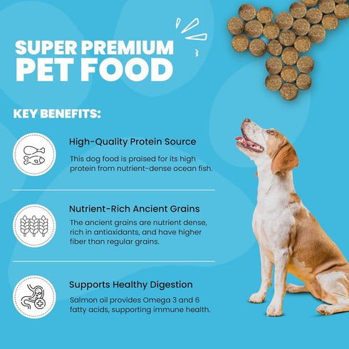 Muenster Ancient Grains Dog Food (4lb) - Ocean Fish Dry Dog Food for Large Dogs – Gluten Free, Non-GMO High Protein
