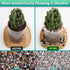 2.4lb Aquarium Gravel for Plants, Decorative River Rocks Pebbles for Succulent Cactus & Bonsai, 1/4 Inch Fish Tank