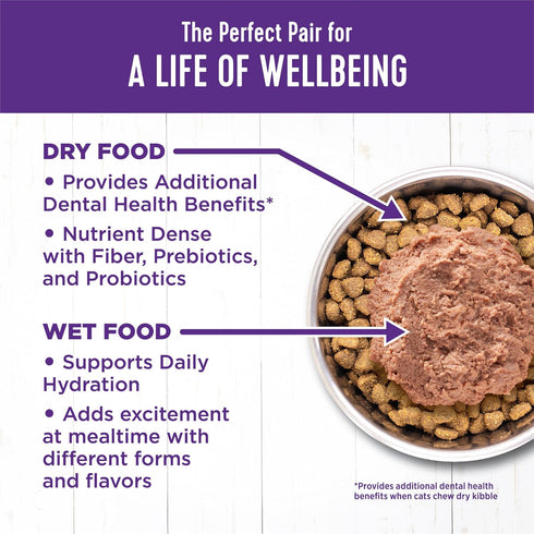 Wellness Complete Health Grain-Free Wet Canned Cat Food, Natural Ingredients, Chicken & Herring, 3 oz (Pack of 24)