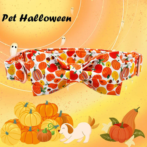 Elegant Little Tail Dog Collar with Bow - Fall Halloween Pumpkin Bow for X-Small Puppies
