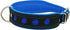 Dogs My Love Real Leather Soft Padded Reflective Dog Collar (18.25"-20.75" Neck; 1.75" Wide, Black/Blue)