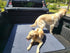 65x48 inch Washable Pee Pads for Dogs, Extra Large Reusable Dog Pee Pad, Waterproof Pet Mat, Dog Playpen Mats for Puppy