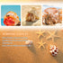 Hermit Crab Shell - Opening Size 0.6"-2", Medium to Large Growth Turbo Seashells for Aquarium Décor, Nautical