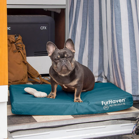 Furhaven Water-Resistant Cooling Gel Dog Bed for Medium/Small Dogs, Removable Washable Cover, Indoor/Outdoor, Deep