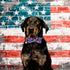 ADOGGYGO American Flag Dog Collar with Bowtie, 4th of July Adjustable Patriotic Collars for Small Medium Large Dogs