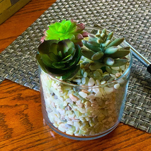 7lb Pebbles,1/4 Inch Jade Bean Cactus Bonsai DIY Rocks, Natural Succulent Rock and River Rocks Decorative