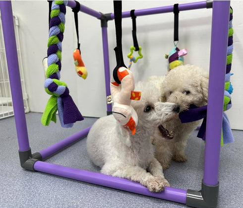 DOZZOPET 8 Puppy Play Gym for Small Dogs with Hanging Toys, Jungle Playground with Interactive Funny Enrichment Toys
