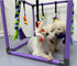 DOZZOPET 8 Puppy Play Gym for Small Dogs with Hanging Toys, Jungle Playground with Interactive Funny Enrichment Toys