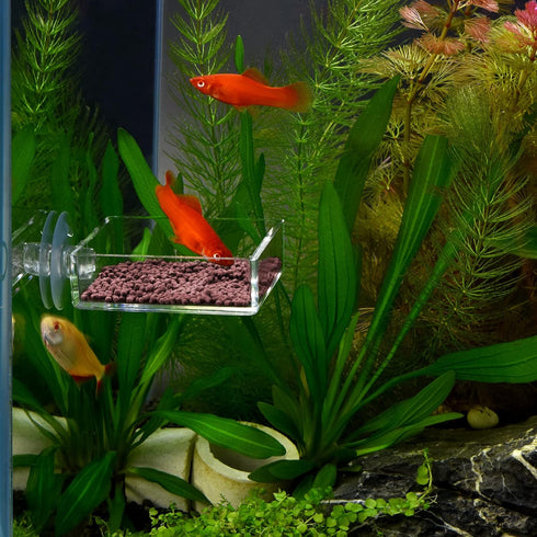 Clear Acrylic Square Shrimp Feeding Dish with Suction Cup for Fish Tank