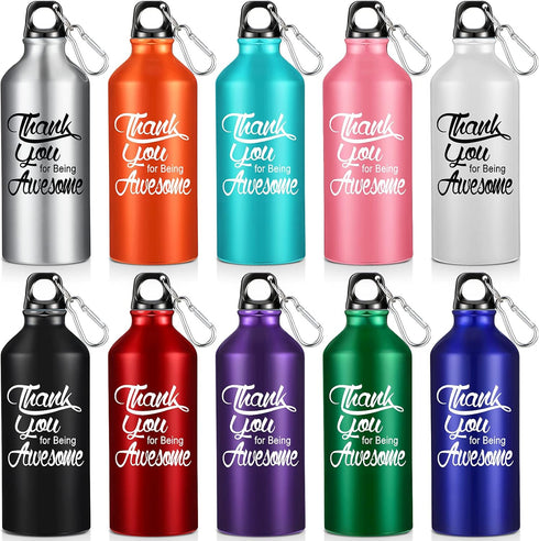 Sieral 10 Pcs Employee Appreciation Gifts - Thank You for Being Awesome Water Bottle 20 oz Aluminum