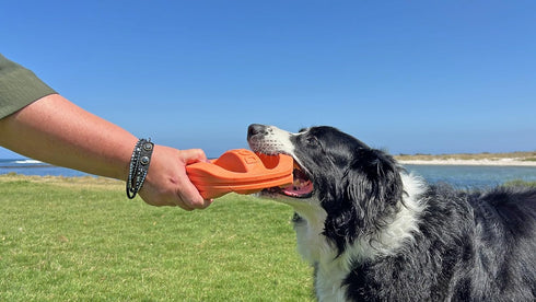 Van Ness Pets Doggi Catch and Carry Flying Disc - Large Floating Dog Toy, Orange