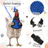 9 Pcs Chicken Harness with Leash and Chicken Hats Set, Funny Chicken Accessories Chicken Hats for Hens Duck Goose Parrot Small Pet Harness Adjustable Chicken Training Walking Supplies