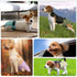 5pcs,Reusable Dog Diapers Female Dog Doggie Puppy Doggy Diapers Female, Period Panties in Heat, Medium