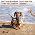 Dog Sun Protection Spray Lightweight, Oil-Based UV Shield for Sensitive Skin | Soothing & Moisturizing Formula