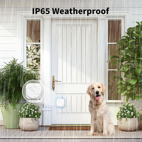 2 Pack JeaTone Dog Door Bell, Dog Bells to Go Outside, Smart Wireless Potty Training Button for Dogs, Training Dog
