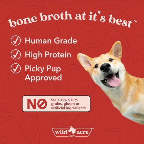 Wild Acre Premium Beef Bone Broth for Dogs – High Protein + Collagen with Mushroom Blend for Strong Bones and Immune