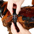 Chicken Harness Hen Size with 6-foot Matching Belt, Comfortable and Breathable, Suitable for Chickens, Green
