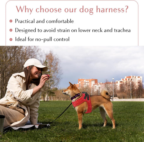 Comfort Fit Step-in Dog & Puppy Harness, All Weather Vest Harness: Adjustable, Soft Padded for Small, Medium Dogs