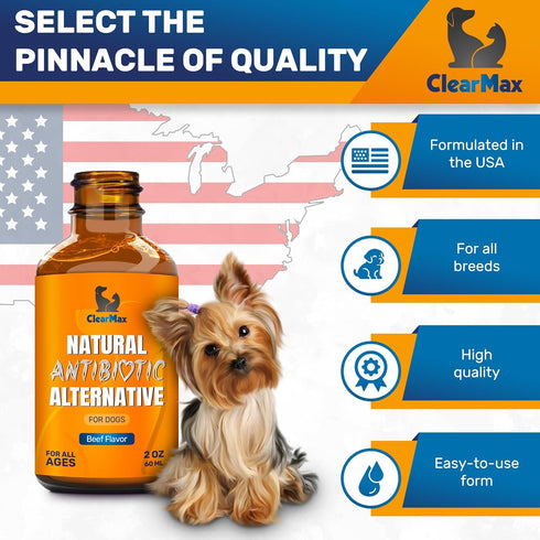 Antibiotic for Dogs, Natural Dog Antibiotics with Beef Flavor, Pet Antibiotic - 2 Oz