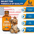 Antibiotic for Dogs, Natural Dog Antibiotics with Beef Flavor, Pet Antibiotic - 2 Oz