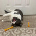 SPOT Kitty Fun Tubes Cat Toy | Interactive Bouncy Toy with Catnip for Cats and Kittens | 3 Pieces