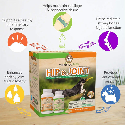 Hip and Joint Supplement for Dogs with Glucosamine, Chondroitin, Turmeric, Collagen, MSM - 120 Tabs