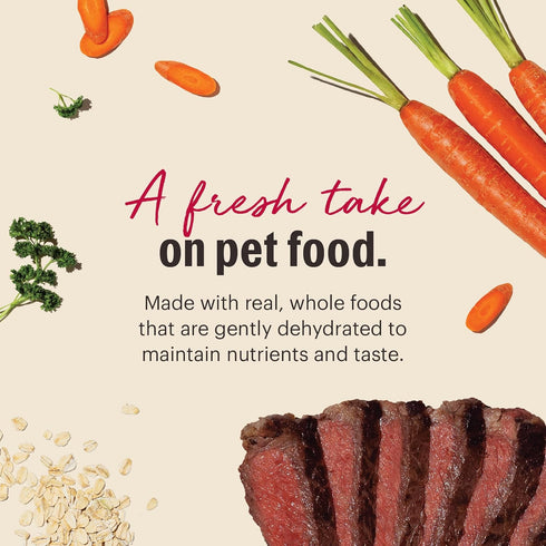 2 lb The Honest Kitchen Human Grade Wholemade Dehydrated Whole Grain Beef & Oat Dog Food, Bag