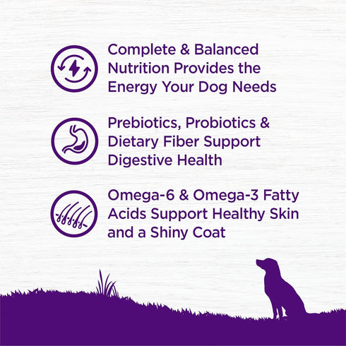 Wellness Complete Health Adult Dry Dog Food, Beef & Barley Recipe, 5 Pound Bag