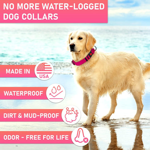 Adjustable Dog Collar with Safety Lock Buckle - Made in USA, Honeycomb Waterproof Heavy Duty Collar for Medium Large
