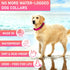 Adjustable Dog Collar with Safety Lock Buckle - Made in USA, Honeycomb Waterproof Heavy Duty Collar for Medium Large