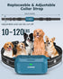Jugbow Dog Shock Collar for 2 Dogs, 4200FT Training Collar with Remote, IPX8 Waterproof Rechargeable Collars for Large