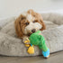 SPOT 14 Chirpies Plush Dog Toy Bird Sound Squeaky Toy for Small and Medium Dogs, Light to Moderate Chewers, Stretchy