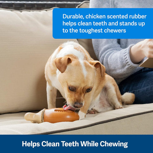 PetSafe Busy Buddy Chompin' Chicken Dog Toy - BPA Free Rubber Chew Toy for Small to Large Dogs