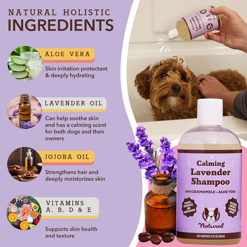 Natural Dog Company Calming Lavender Shampoo for Dogs - Best Hypoallergenic, Deodorizing Dog Shampoo for Sensitive Skin, All Natural, Organic Pet Shampoo, Soothes with Chamomile and Lavender, 12 oz